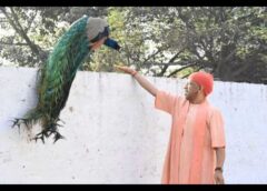 CM योगी का दो दिवसीय गोरखपुर दौरा, गोड़धोइया प्रोजेक्ट का करेंगे निरीक्षण; विकास कार्यों की रफ्तार पर फोकस