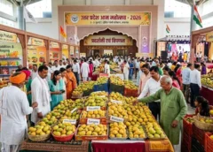 लखनऊ में सजेगा ‘यूपी आम महोत्सव 2026’, किसानों को मिलेगा बड़ा बाजार और कमाई का नया मौका